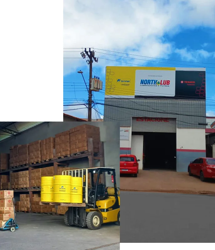 Atendimento institucional da Northlub